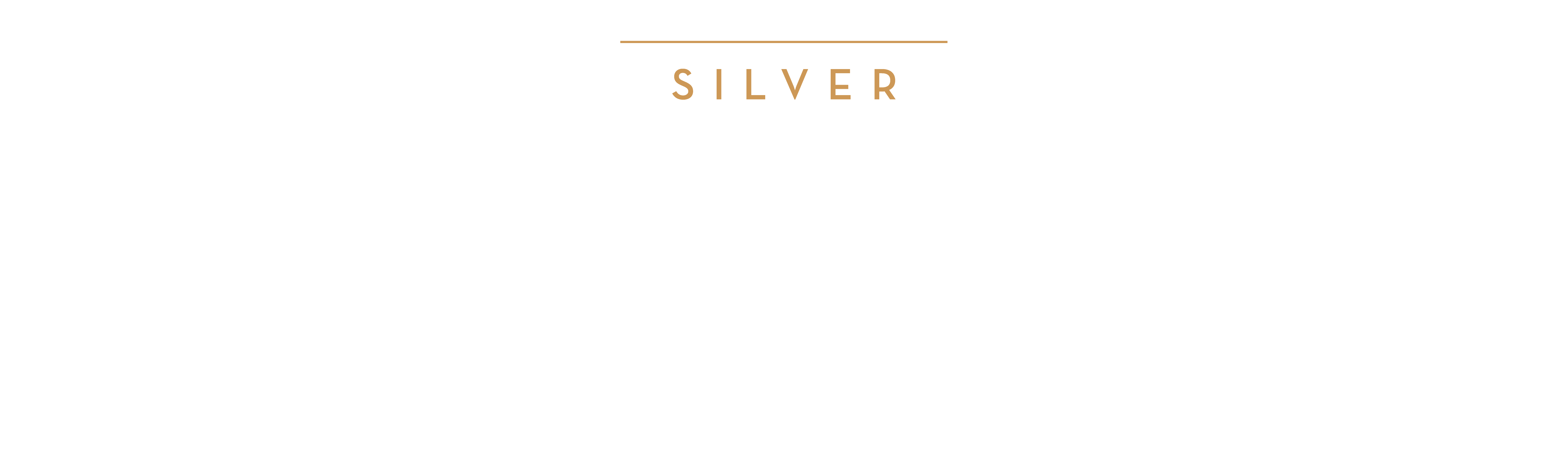 Silver: AAR CORP. I ACCENTURE | ACCESS COMMUNITY HEALTH NETWORK | CHAPMAN AND CUTLER LLP I CIBC
DECASONIC I EY I FCB CHICAGO | JOSEPH ORLANDO, FINANCIAL RENAISSANCE | HUNTINGTON BANK
INGREDION | KIRKLAND & ELLIS LP | KPMG LLP | MAYER BROWN LLP | META CHICAGO | MICHELLE L COLLINS
MICROSOFT | NASCAR NIELSENIQ PEOPLES GAS| RELATED MIDWEST RIVERSIDE INVESTMENT AND DEVELOPMENT
ROSY AND JOSE LUIS PRADO | SPAN TECH, INC. | STANTEC AND SDI PRESENCE LLC | TORO CONSTRUCTION CORP.