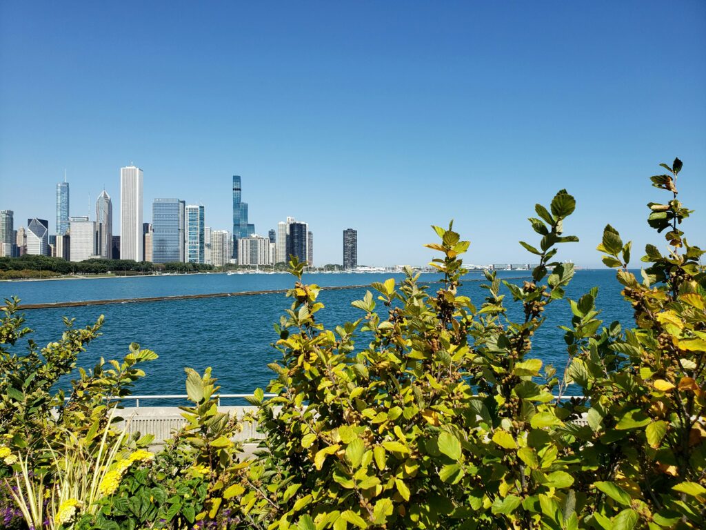 Rheaply’s Reuse Marketplace: Fostering a Green, Interconnected Chicago – Supported by the Chicagoland Climate Investment Alliance